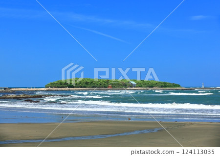 [Miyazaki Prefecture] Clear skies on Aoshima (Devil's Washboard) 124113035
