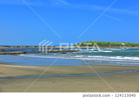 [Miyazaki Prefecture] Clear skies on Aoshima (Devil's Washboard) 124113040