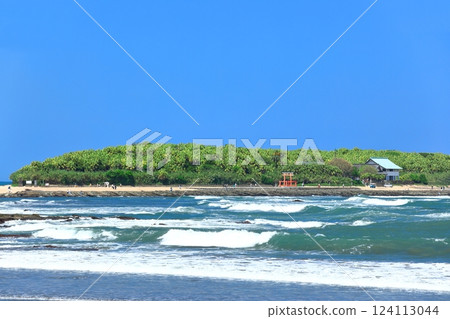 [Miyazaki Prefecture] Clear skies on Aoshima (Devil's Washboard) 124113044