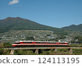 Nagano Electric Railway Limited Express 124113195