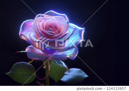 偏光玫瑰在夢幻的夜晚閃耀 124113957