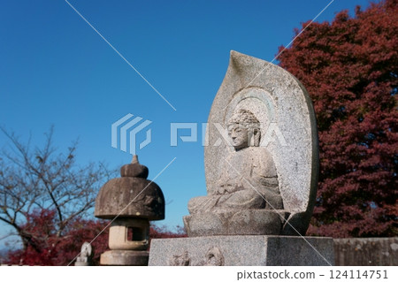 Amitabha Buddha statue, Buddhist statue, Tsugikao Kannon Jakkoin 124114751