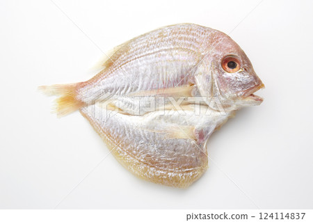 美味的乾魚 124114837