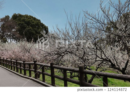 Sagirike Pond的Bairin Sagirike Pond的Bairin 124114872