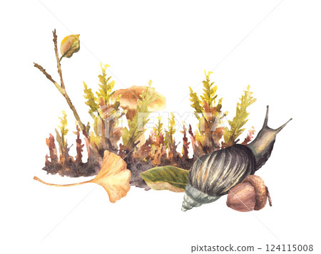 Chanterelle Mushroom with Snail. Autumn moos with acorn, yellow green leaves. Fall forest arrangement with brown slug. Watercolor hand painted illustration for card, poster. Isolated from background Chanterelle Mushroom with Snail. Autumn moos with acorn, yellow green leaves. Fall forest arrangement with brown slug. Watercolor hand painted illustration for card, poster. Isolated from background 124115008