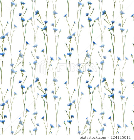 Blue wildflower, Chicory field plant with flowers and buds seamless pattern. Cornflower Watercolor hand painted illustration. Botanical realistic fabric, summer print on Isolated white background 124115011