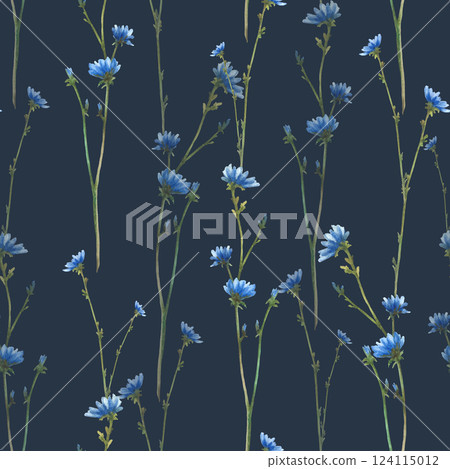Cornflower or chicory field plant with flowers and buds seamless pattern. Blue wildflower. Watercolor hand drawn illustration Realistic clipart for fabric, summer floral print Isolated dark background 124115012