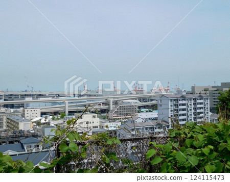 龍門起重機 - 從港未來公園看到的景色 龍門起重機 - 從港未來公園看到的景色 124115473