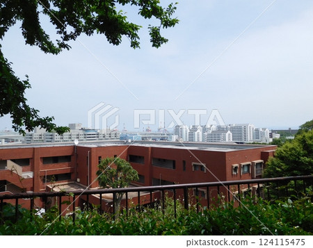 龍門起重機 - 從港未來公園看到的景色 龍門起重機 - 從港未來公園看到的景色 124115475