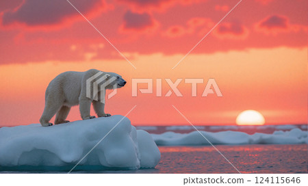 A polar bear standing on a melting ice floe represents global warming's impact on Arctic wildlife. 124115646