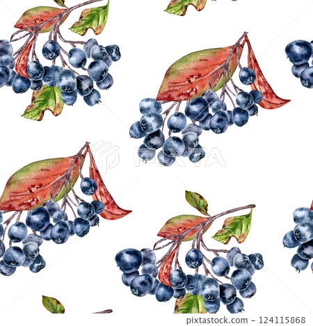Watercolor black chokeberry seamless pattern with aronia berries and red leaves isolated on white. Autumn botanical repeat background hand drawn for fabric cottagecore style, packaging, autumn decor. Watercolor black chokeberry seamless pattern with aronia berries and red leaves isolated on white. Autumn botanical repeat background hand drawn for fabric cottagecore style, packaging, autumn decor. 124115868