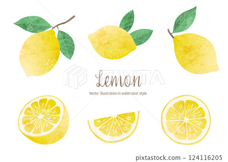 Watercolor style vector illustration of Mon, set of lemon illustrations Watercolor style vector illustration of Mon, set of lemon illustrations 124116205