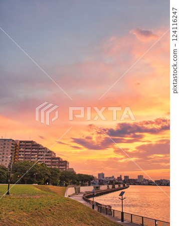Nakagawa River dyed in the sunset at Okuto, Katsushika, Tokyo 124116247