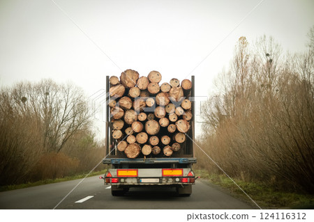 A truck loaded with firewood navigates a curved road through a dense forest, heading toward its destination. transportation, delivery, and the firewood industry A truck loaded with firewood navigates a curved road through a dense forest, heading toward its destination. transportation, delivery, and the firewood industry 124116312
