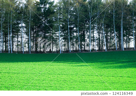 A refreshing view of Hokkaido A refreshing view of Hokkaido 124116349