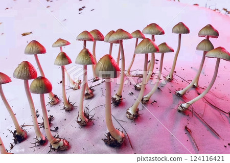 Psychedelic Mushrooms Cluster with Pink Glow for Trippy 70s, Y2K Art 124116421
