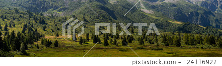 Majestic Mountain Range with Verdant Meadows and Pine Forest 124116922