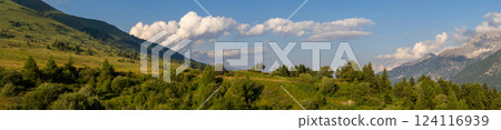 Panoramic View of Lush Green Hills Under Blue Sky 124116939