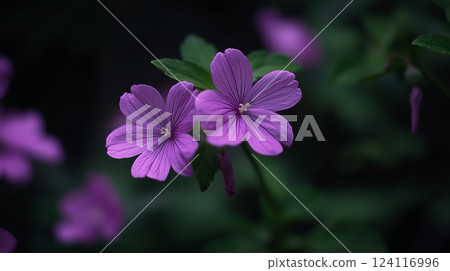 紫色花朵背景素材（生成式 AI） 124116996
