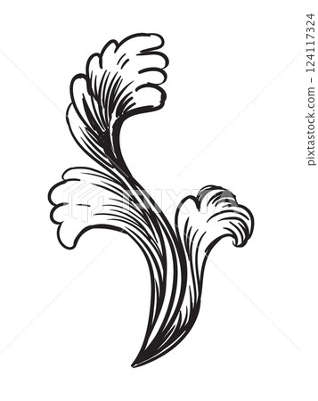 Engraved ornate baroque design element isolated illustration Engraved ornate baroque design element isolated illustration 124117324