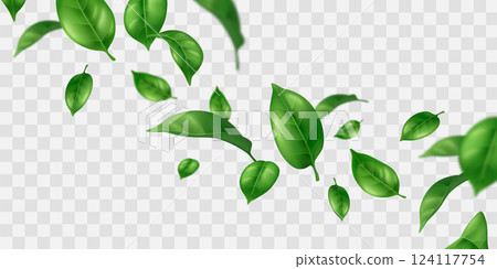 Flying green leaves on transparent background 124117754