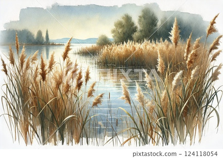 Reed beds/Philadelphia 124118054