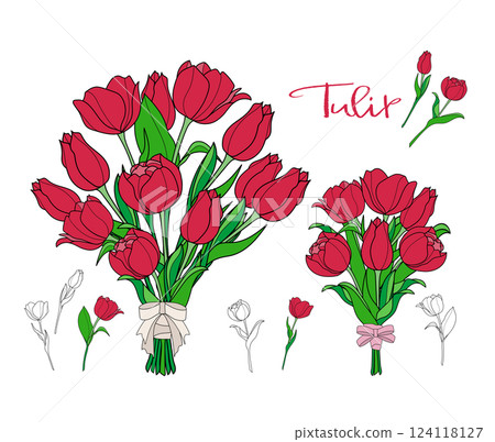 鮮紅的鬱金香花束-彩色和線描鬱金香的插圖 124118127