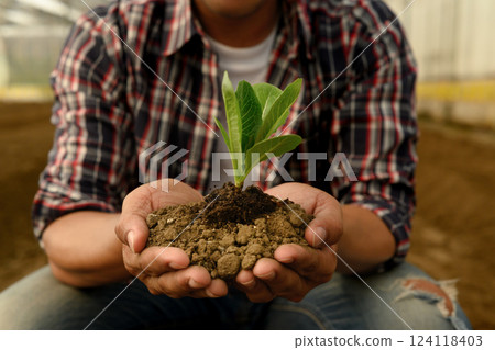 Hands holding a sprouting seedling, new life, sustainability and environmental responsibility concept Hands holding a sprouting seedling, new life, sustainability and environmental responsibility concept 124118403