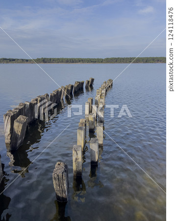 Old wooden pilings emerge from the calm waters of Lac Sanguinet in Gironde, France, reflecting the Old wooden pilings emerge from the calm waters of Lac Sanguinet in Gironde, France, reflecting the 124118476