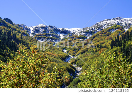 Image of snow-capped mountains, forests and autumn colors. 124118565