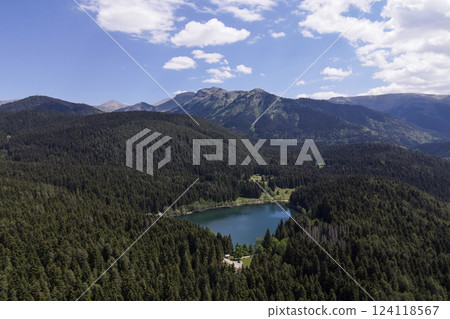Image of the blacklake located among the pine forests in the province of Artvin. 124118567