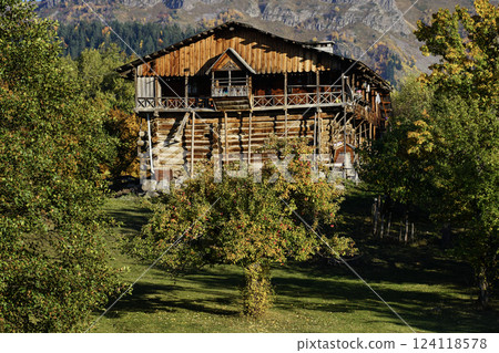 Historical mansions. Historic mansions among green forests, trees and meadows. Footage of old mansions made of wood and stone. 124118578