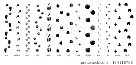Animals footprint tracks. Chains of paw prints. Fauna creatures and birds trails. Black silhouettes zoo icons. Walk way. Elephant path. Rabbit footsteps. Pawprint shapes vector set Animals footprint tracks. Chains of paw prints. Fauna creatures and birds trails. Black silhouettes zoo icons. Walk way. Elephant path. Rabbit footsteps. Pawprint shapes vector set 124118708