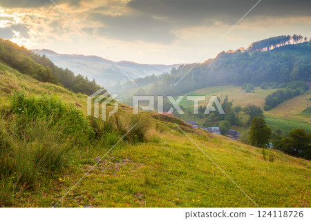 landscape of rural valley with dawn sky. nature environment in summer. green meadow in mountain and forest on hill. scenic travel view. beautiful countryside background with grass for outdoor tourism 124118726