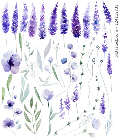 Watercolor lavender flowers and leaves isolated illustration. Purple elements for summer wedding 124118735