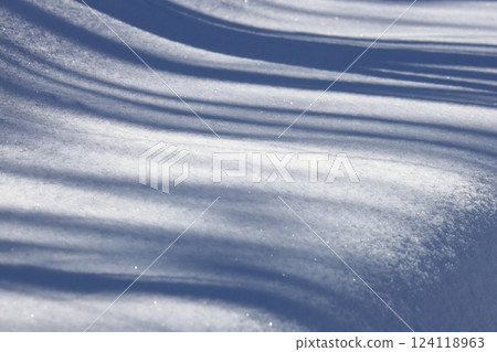 北海道的冬天:雪中倒映的樹影 北海道的冬天:雪中倒映的樹影 124118963