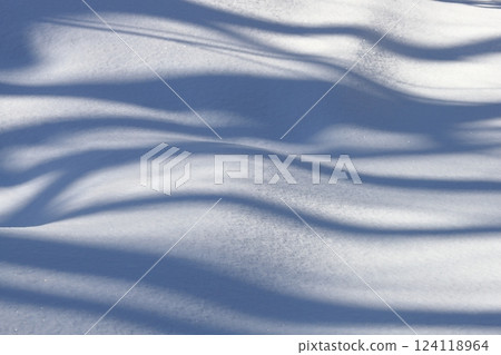 Winter in Hokkaido: Tree shadows reflected in the snow Winter in Hokkaido: Tree shadows reflected in the snow 124118964