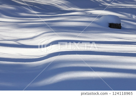Winter in Hokkaido: Tree shadows and stumps reflected in the snow 124118965