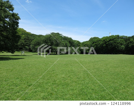 Kinuta Park Family Park (Lawn Square) 124118996