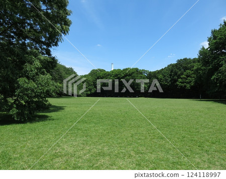 絹田公園家庭公園（草坪廣場） 124118997