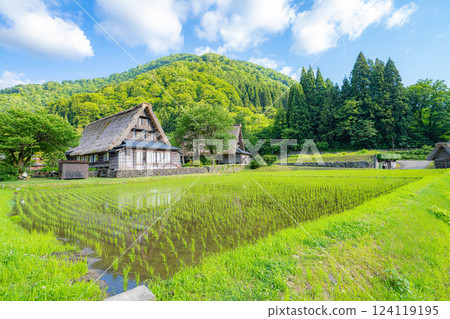 [世界遺產] 初夏的五簇山/菅沼合掌造村落[富山縣] 124119195