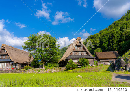 [World Heritage] Gokayama and Suganuma Gassho-style Village in early summer [Toyama Prefecture] 124119210