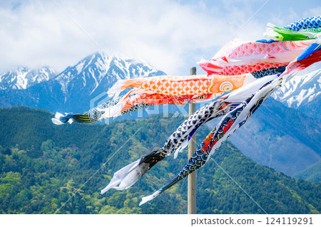 [初夏材料]鯉魚旗在天空中游泳[長野] 124119291