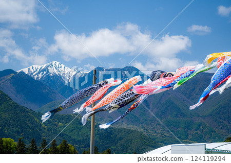 [Early summer material] Carp streamers swimming in the sky [Nagano] 124119294