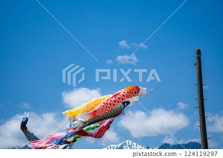 [初夏材料]鯉魚旗在天空中游泳[長野] 124119297