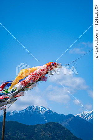 [初夏材料]鯉魚旗在天空中游泳[長野] 124119307