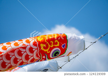 [初夏材料]鯉魚旗在天空中游泳[長野] 124119309