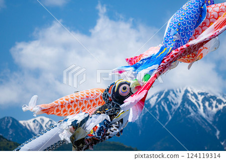 [初夏材料]鯉魚旗在天空中游泳[長野] 124119314