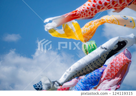 [初夏材料]鯉魚旗在天空中游泳[長野] 124119315