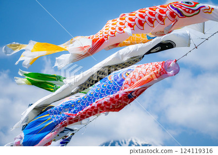 [初夏材料]鯉魚旗在天空中游泳[長野] 124119316